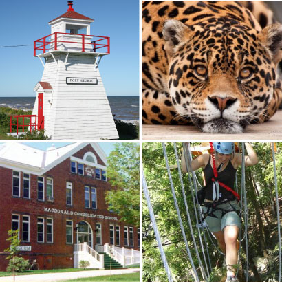 Visit nearby Upper Clements Theme Park, Oaklawn Zoo, MacDonald Museum, and Upper Clements Adventure Park